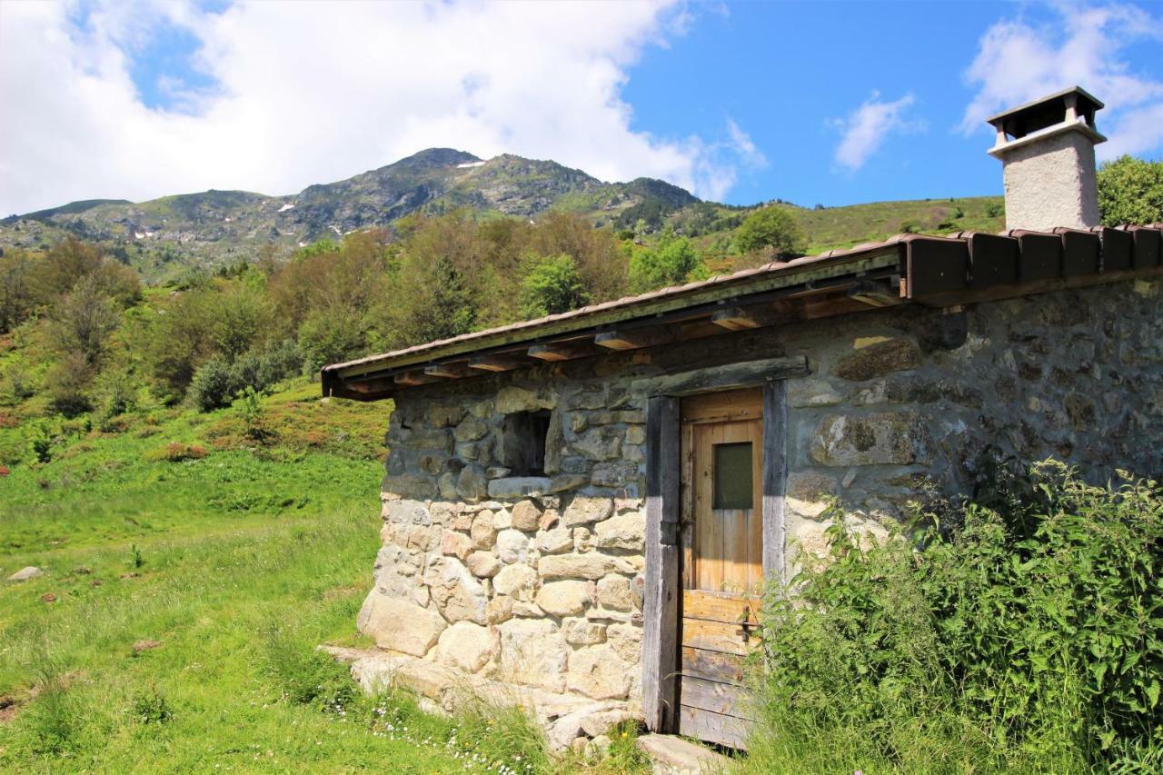Toupinat Villa Montferrier Dış mekan fotoğraf